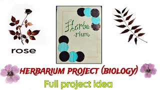 New Herbarium file project biology  herbarium sheet  herbarium specimen  project file [upl. by Farrow641]