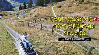 Epic toboggan ride tobogganing fun  Rodelbahn  Moutain Coaster with panoramic alpine beauty🇨🇭😍 [upl. by Lyman362]