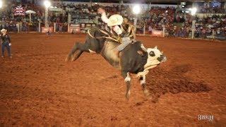 Rodeio de Colorado 2018  FINAL EM TOUROS [upl. by Ardnalac]