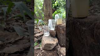 How To Clean Water In Forest shorts youtubeshorts [upl. by Olwena]