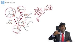 Hemoglobin  MCQ discussion [upl. by Roderica]