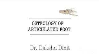 OSTEOLOGY OF ARTICULATED FOOT [upl. by Ahsimed302]