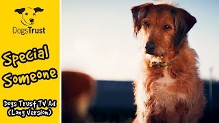 Special Someone  Dogs Trust TV Ad Long Version [upl. by Ahsap]