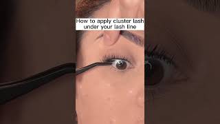 How to apply your cluster lashes under your lash line [upl. by Sokin]