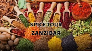 Zanzibar the Spice Island  Discover the Best Spices in the World travel zanzibar spices [upl. by Tartan]