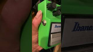 Ibanez ts9 tube screamer guitar pedal guitarpedals guitarpedalboard rock rockstar punk metal [upl. by Daven]