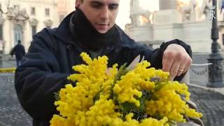 Quirinale i preparativi per la giornata internazionale della donna [upl. by Anerroc396]