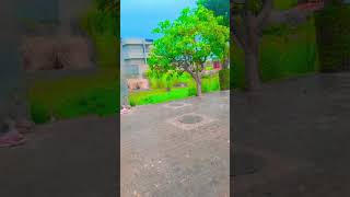 sun sun Barsat Ki Dhun sun Barish ka Mausam  shortvideo barish song [upl. by Addi]