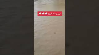 ياربي السلامة فيضانات الجزائر [upl. by Idnem968]