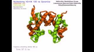 100ns Molecular Dynamics of the Nucleosome H3H4 tetramer [upl. by Cormick]