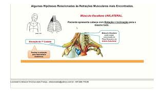 COLUNA CERVICAL [upl. by Poucher]