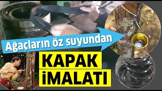 Ağaçların öz suyundan KAUÇUK KAPAK ÜRETİMİ [upl. by Ratib]