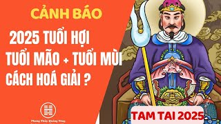 Tử vi 2025 Tuổi Hợi Mão Mùi Phạm Tam Tai cách hoá giải để thu hút tài lôc [upl. by Alejna]