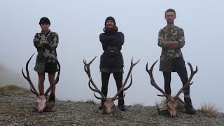 3 Stags hit the deck The Roar 2024  Hunting South Island New Zealand [upl. by Atnuahsal56]