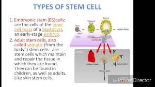 Stem cell and their application [upl. by Flodur]