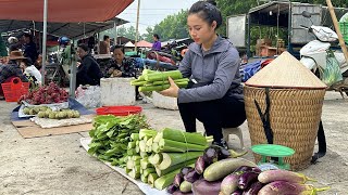 FULL VIDEO 60 Days of harvesting bok choy cantaloupe and eggplant to sell at the market [upl. by Norvall]