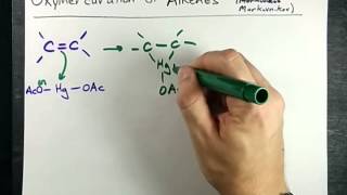 Alkene to Alcohol Oxymercuration Mechanism [upl. by Gassman]