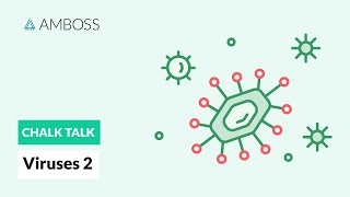 Viruses  Part 2 DNA vs RNA Viruses [upl. by Barna]