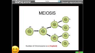 Life Science Class 10 Reproduction Part 03 [upl. by Soirtemed673]