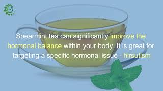 Top 10 Benefits of Spearmint Tea  Organic Facts [upl. by Enyaw287]