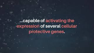 Sulforaphane in Nutrigenomic Cancer Therapy  Oncotarget [upl. by Anovad]