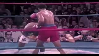 Ali  Frazier  Foreman  Greatest Trio Of All Times [upl. by Rayner391]