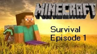 MINECRAFT  Survival Series Ep 1 The Beginning [upl. by Aloeda]