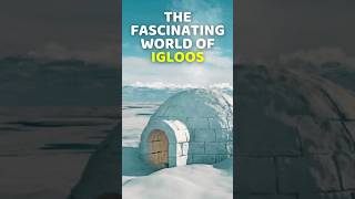 Igloos Uncovered Snow Castle Discoveries [upl. by Nadabus]