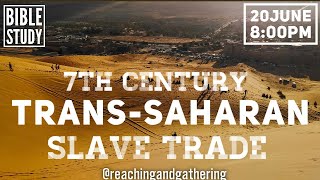 Trans Saharan Slave Trade [upl. by Ahtabbat49]