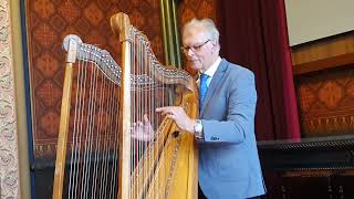 JACQUES VANDEVELDE TOCA COLD PLAY  XIII RIO HARP FEST [upl. by Nnylf]