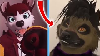 Furry Tiktoks thatll call you out [upl. by Davilman621]