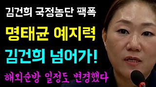 소름돗는 충격 명태균 예지력에 해외순방 일정변경 영국 조문과 앙코르와트도 여론조작 관련된 국힘당 의원들 25명 이상 서영교 X 박균택 X 장경태 X 박은정 [upl. by Archambault]