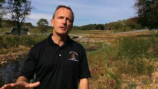 Colvin Run Stream Restoration Project in Lake Fairfax Park [upl. by Lubin]