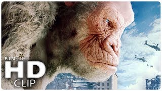 Rampage 2018  Giant Gorilla Attack Scene  Má´á´ Éªá´‡CÊŸÉªá´˜4á´œ ã€šHDã€› [upl. by Eenram953]