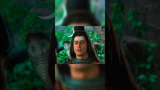 DEVON KE DEV MAHADEV ❤️🔱 mahadevstatus omnamahshivaya shivparvati viralvideo trendingshorts [upl. by Oirevas882]