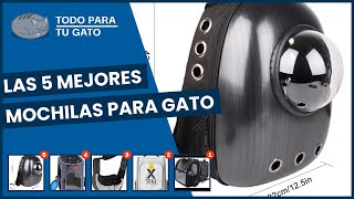 Las 5 mejores mochilas para gato [upl. by Irtak]