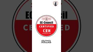 Certified Ethical Hacker CEH  Stealth Security [upl. by Jeraldine]