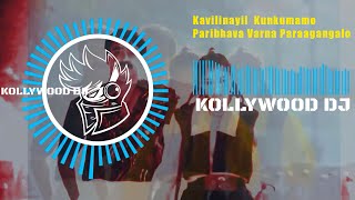 Kavilinayil Kunkumamo Malayalam DJ Remix ¦ Malayalam Dj Remix ¦ Dj Remix Song Malayalam [upl. by Rehsa761]