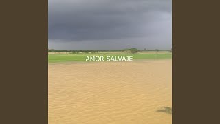 Amor Salvaje [upl. by Jecho160]