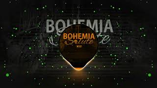 Salute  Bohemia Slowed Reverb  Malik Bass [upl. by Hanej]