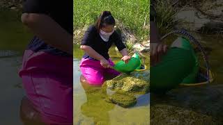 😱😱Giant green clam harvesting emerald pearls and gemstones [upl. by Werdn]