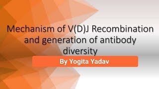 Generation of Antibody diversity [upl. by Allets855]