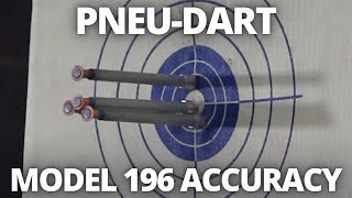 HOW THE PNEUDART MODEL 196 DEMONSTRATES ACCURACY [upl. by Phillipp260]