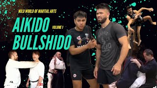 Aikido Bullshido Volume 1 [upl. by Atenahs]