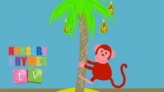 MONKEY  Original Song  Nursery Rhymes TV  English Songs For Kids [upl. by Bobinette]