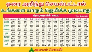 30 காட்டு விலங்குகள் Kattu vilangugal  30 Tamil Wild animals name video for Kids  Adipadai Tamil [upl. by Strage272]