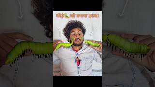 कीड़े🐛को बनाया BiwiWifecomedy insect [upl. by Frankel]