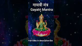 गायत्री मंत्र Gayatri Mantra 108 times morning meditation shortshortsfeedyoutubeshortsshortvideo [upl. by Coryden805]