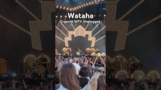 Organek  Wataha MTV Unplugged [upl. by Novart375]