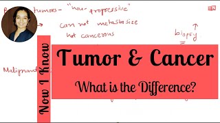 Tumor and Cancer  What is the Difference [upl. by Johanan865]